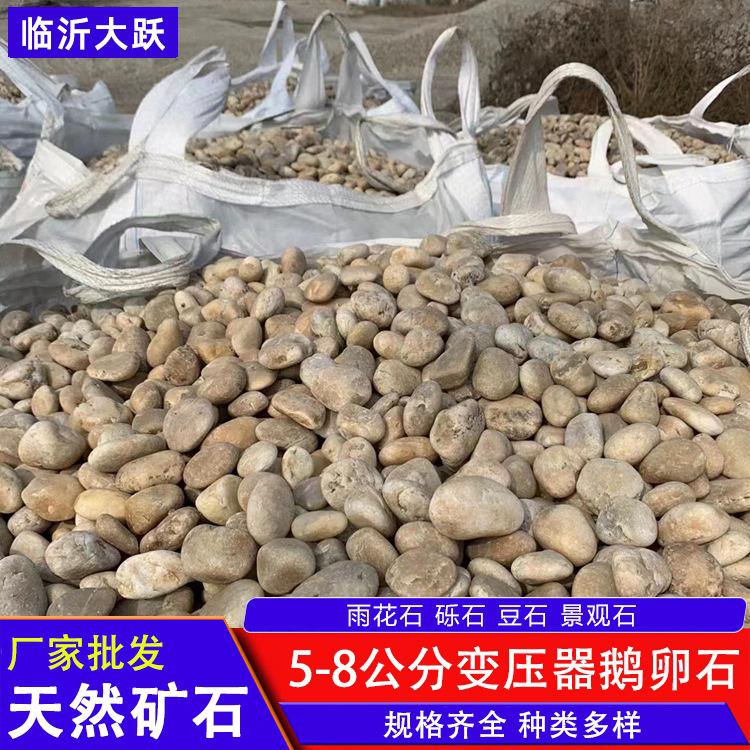 临沂大跃 8-10公分变压器鹅卵石 树坑河道填充河卵石