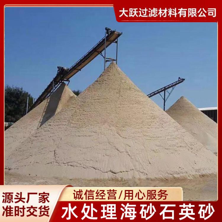 供应纯白色石英砂 白沙子 水处理 填坑造景 足球场草坪填充砂