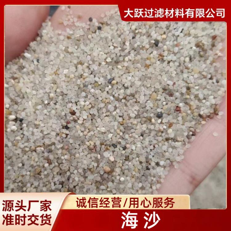 人工沙滩沙坑用海沙 水处理用海沙滤料 精制烘干海砂 详情咨询
