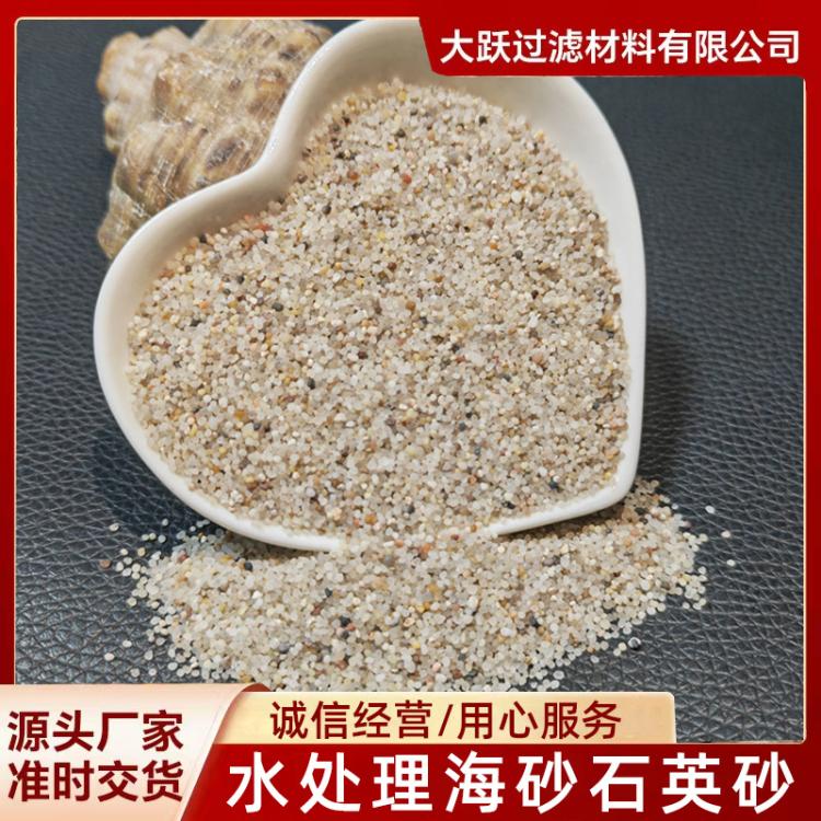 圆粒海砂厂家直销批发 污水自来水厂过滤海砂 沙滩 球场用海沙