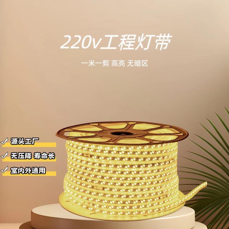 5730高压灯带220V120珠双斜排室内户外通用防水包胶亮化工程灯带