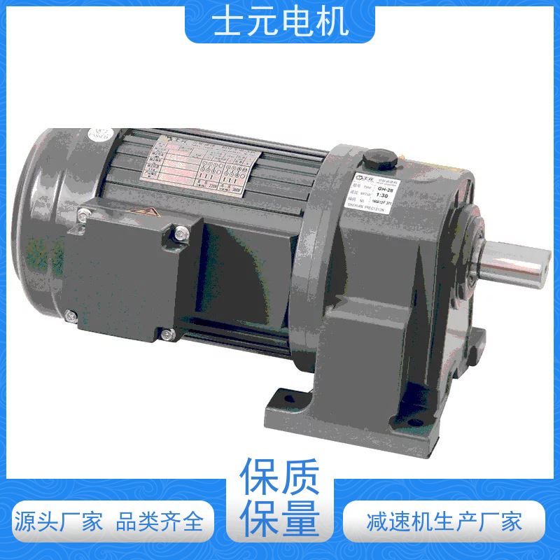 士元shiyuan 立式电机减速机 质保一年 榨汁机 GV22-200W