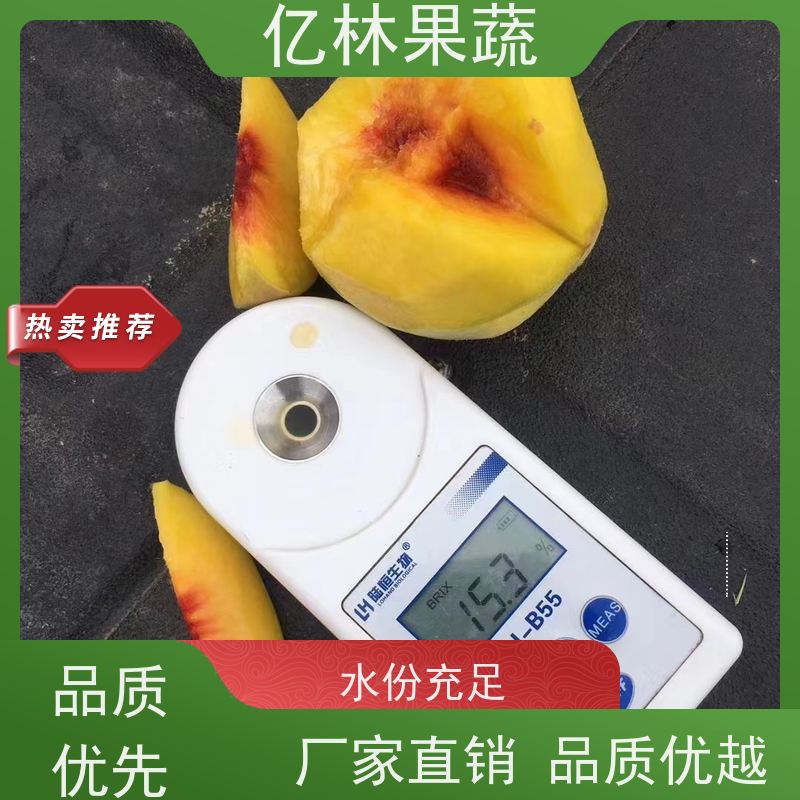 基地培育 园林嫁接桃苗 现挖现发新鲜 粗两公分 果实饱满味道好
