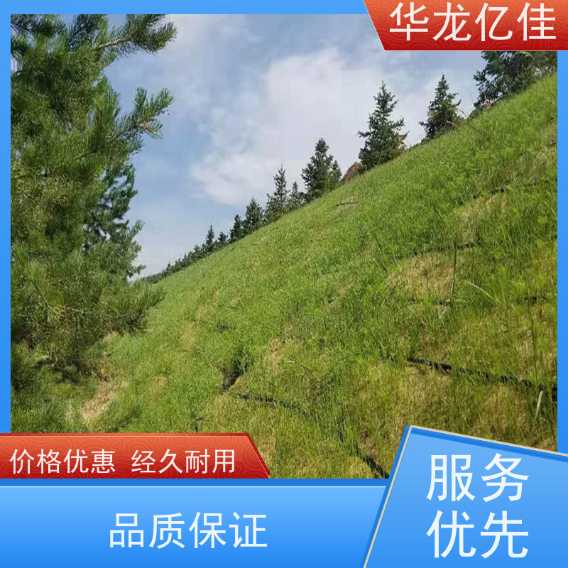 全新 椰丝草籽毯 生态修复矿山绿化护坡 颜色金黄色 耐腐蚀