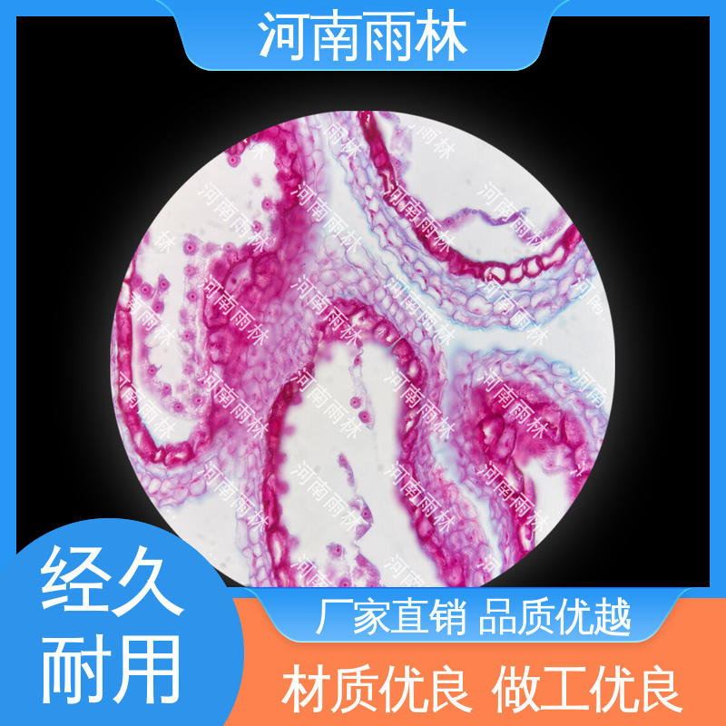 雨林教育工程 植物切片 质量保障 可提供材料 专业