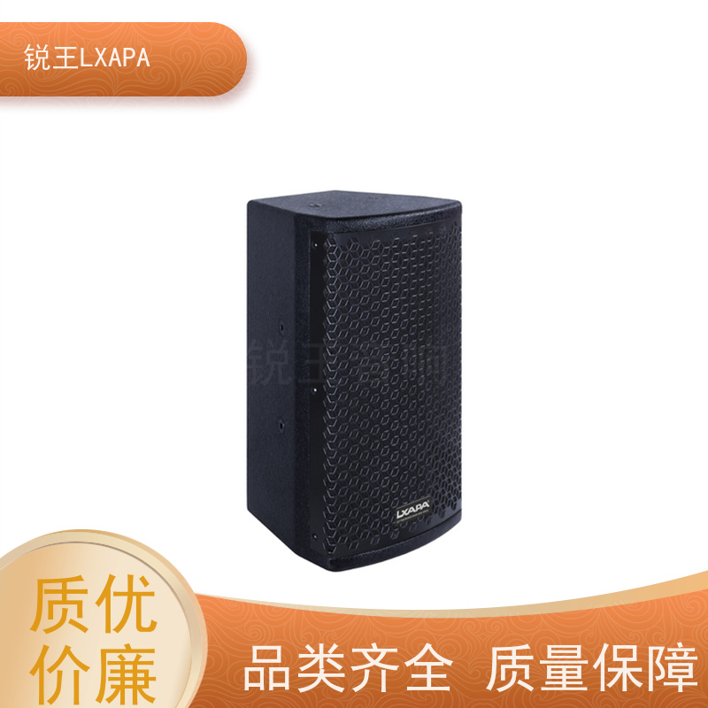 锐王LXAPA 安装方便快捷 小型线阵音箱 全频会议音柱 扩声音响