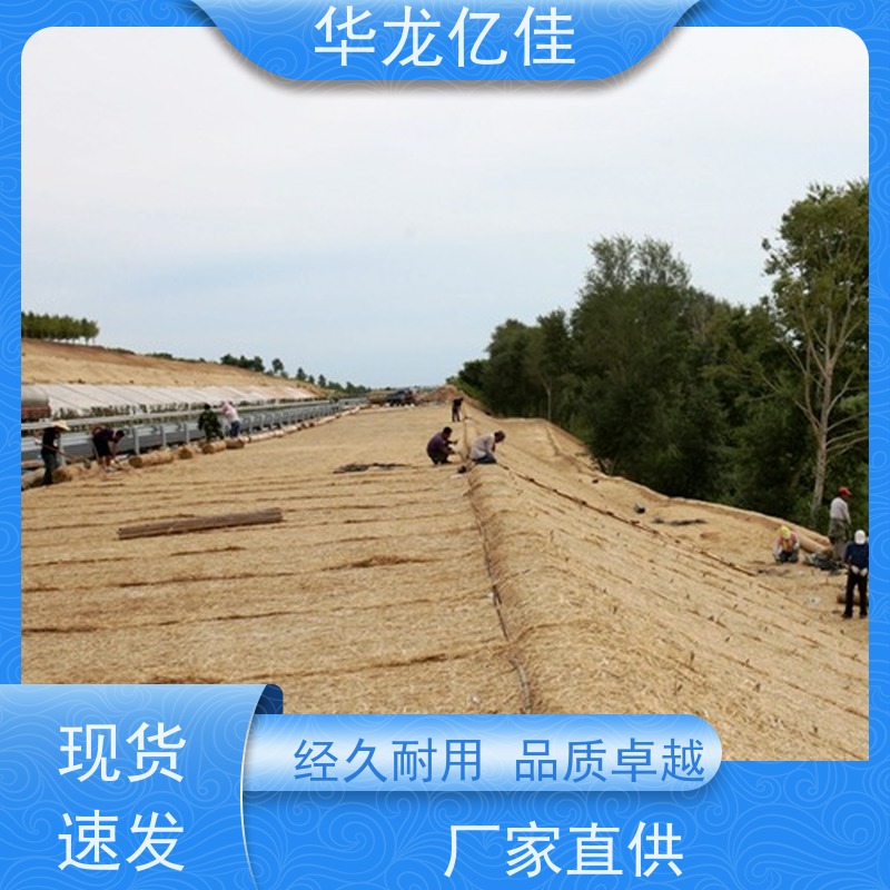 特价 抗冲刷毯 河道护坡绿化植草毯 华龙亿佳供应