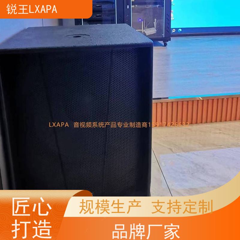 锐王LXAPA 扩声音响 广播音柱 外形美观 小型线阵音箱