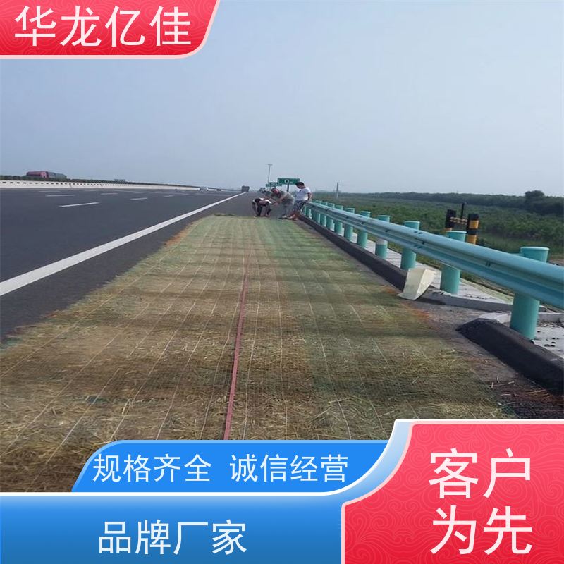 全新 河坡草毯 荒漠治理植被固土 颜色金黄色 耐腐蚀