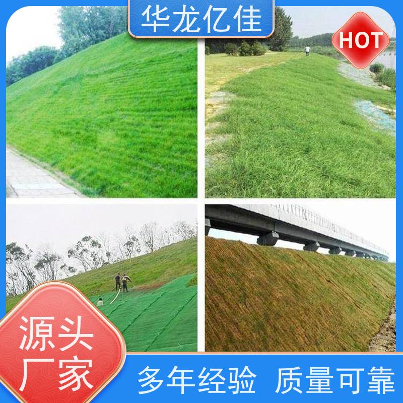 国标 植物纤维毯 河道护坡绿化植草毯 颜色金黄色 耐腐蚀