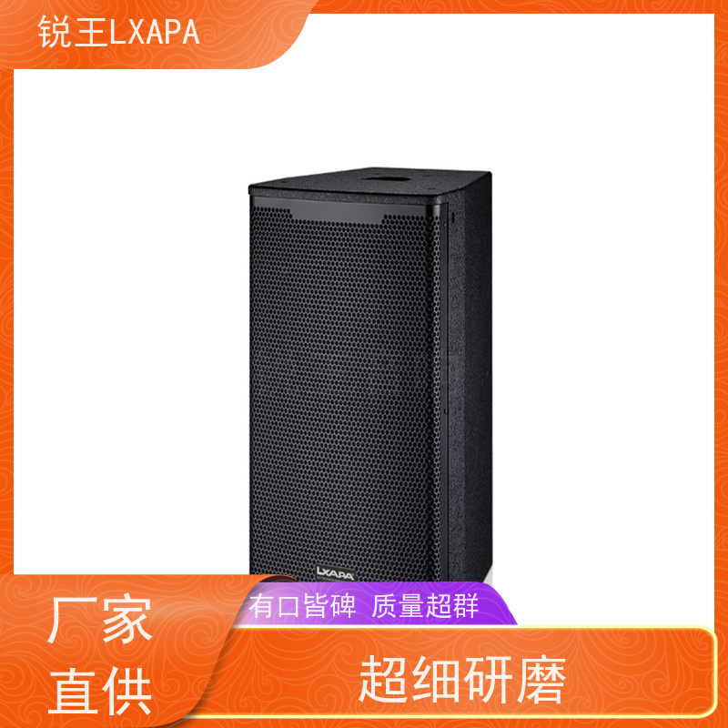 锐王LXAPA 适用于会议室 12寸线阵音箱 演出音响 可调指向声柱