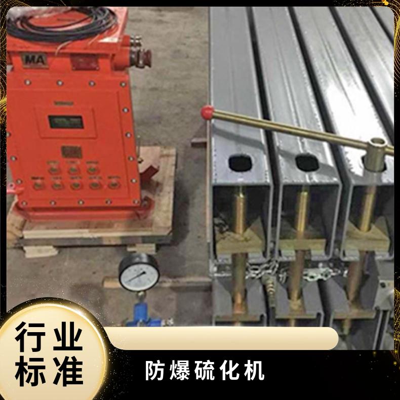 盛诺生产 防爆电加热胶带硫化机 水冷却式 升温快 温度均匀 可定做