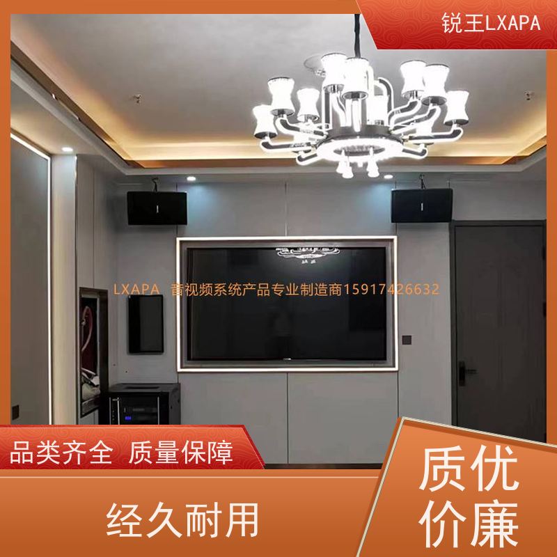 锐王LXAPA 小线阵音箱 演艺厅喇叭 广播音柱 多媒体教学音响设备