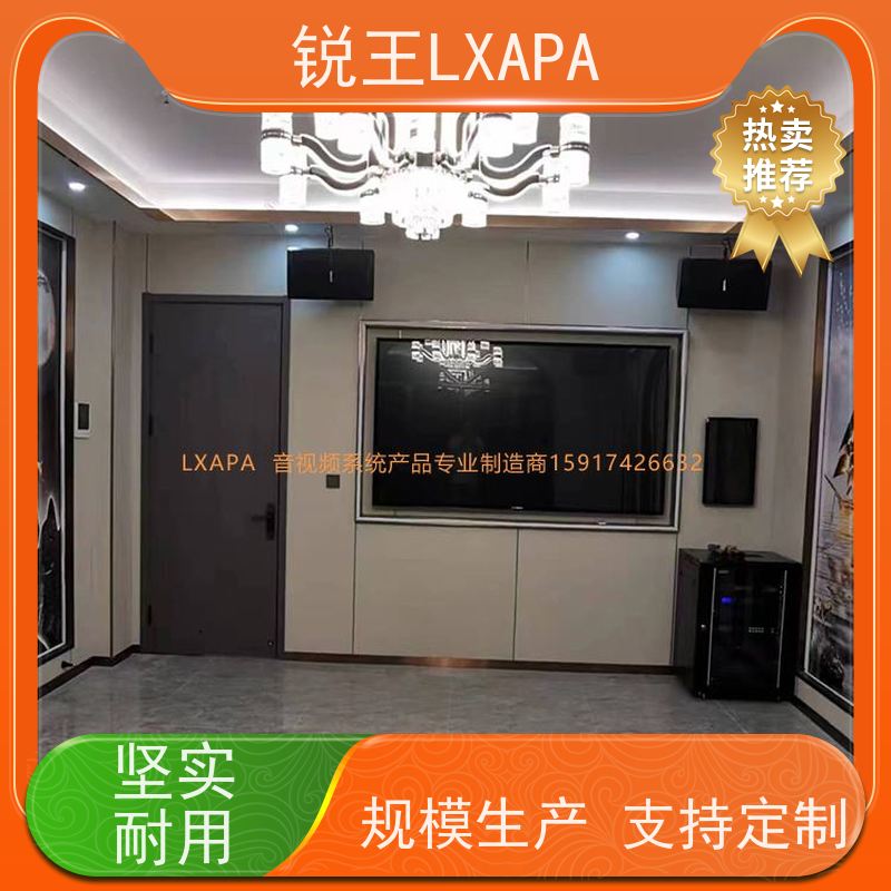 锐王LXAPA 广播音响 会议系统声柱 舞台功放 人声音箱