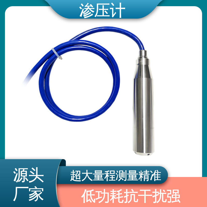 地基基础 硅压阻式渗压计 内部孔隙水压 全天候观测