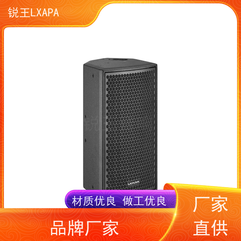 锐王LXAPA 音箱喇叭 人声还原 定压音柱 会议用音响设备