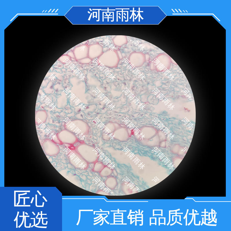 雨林 一对一质检 支持定制 可后期加工 生物切片