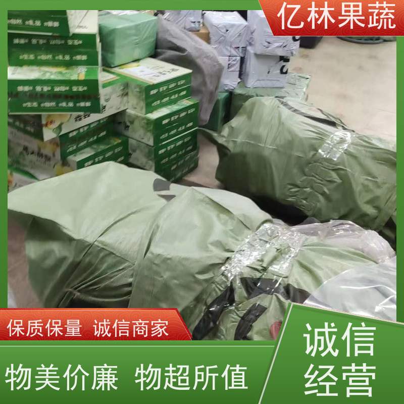 亿林苗木 秋彤桃 特产果树桃幼苗 易栽培桃树苗