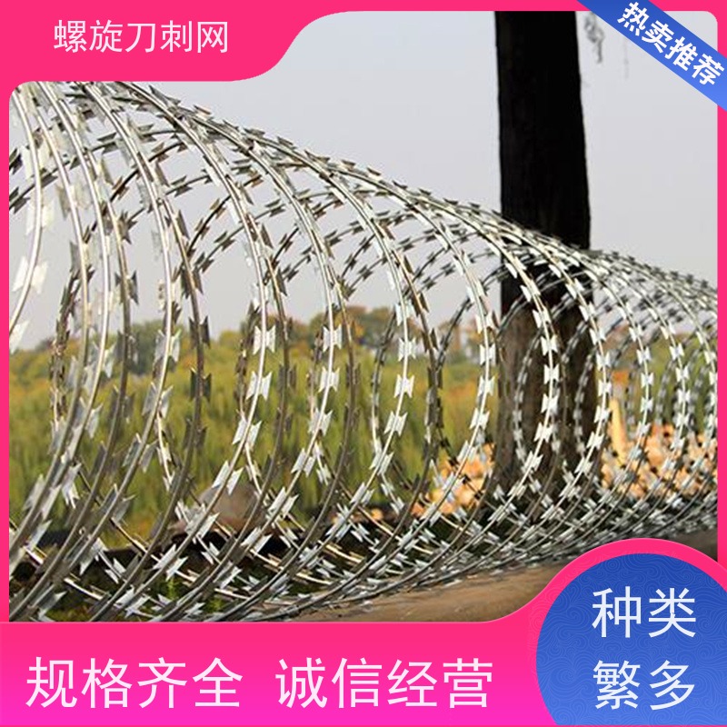 围墙防爬刺275g刀刺网高铁304不锈钢刀片刺绳材质