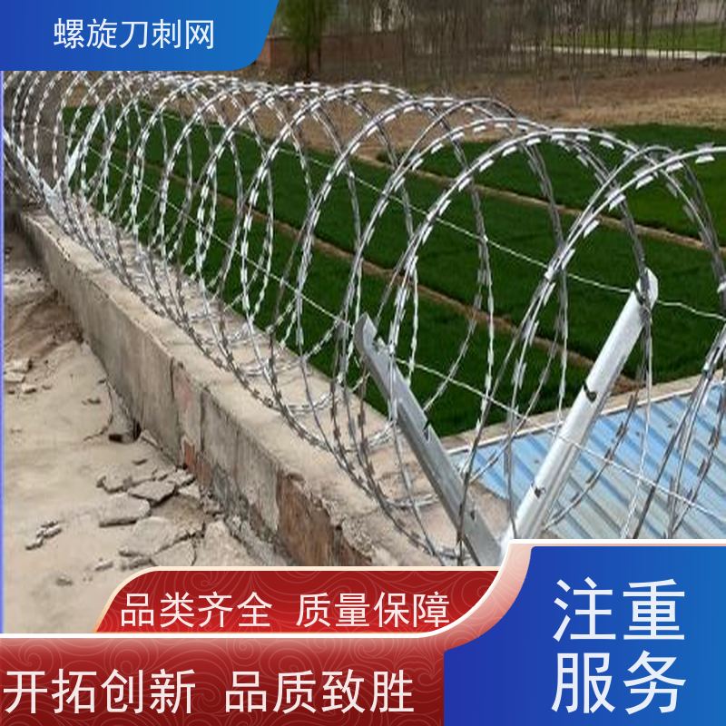 学校围墙防盗防爬刺网路边防攀爬铁蒺藜高锌刺丝滚笼颜色