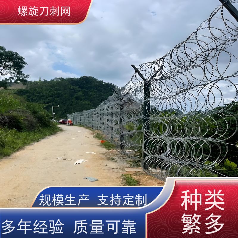 围墙防爬刺路边防攀爬铁蒺藜蛇蝮式刺丝滚笼刺网颜色