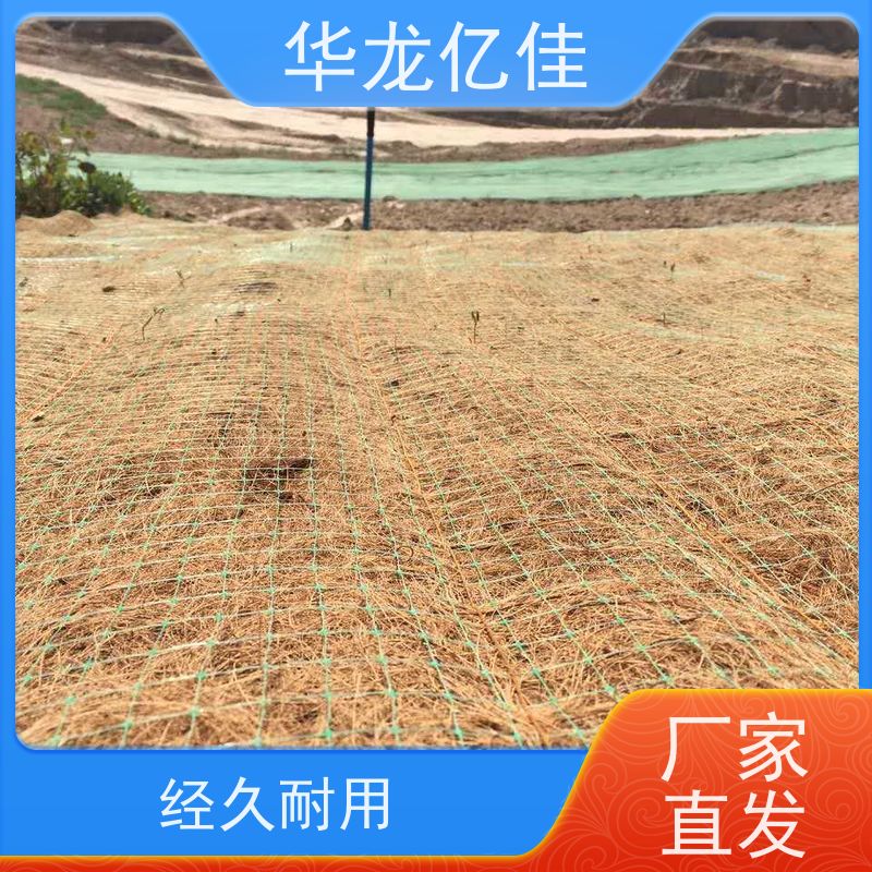 全新 河坡草毯 生态修复矿山绿化护坡 华龙亿佳供应