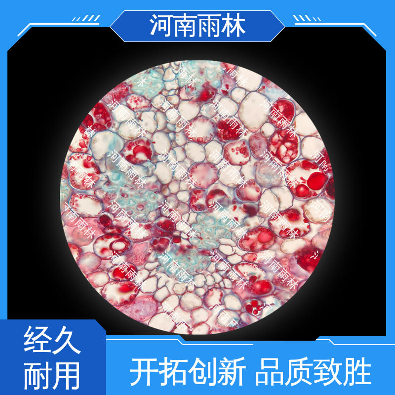 雨林教育工程 切片安全 源头工厂 可提供材料 显微标本