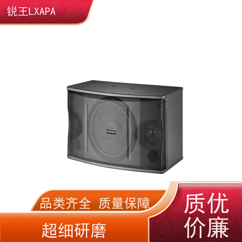 锐王LXAPA 会议音响 声柱式音箱 巡回演出用 校园音柱