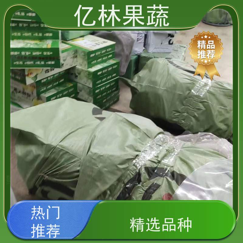 亿林苗木 油桃苗 果树苗批发 当年结果 根系饱满成活率高