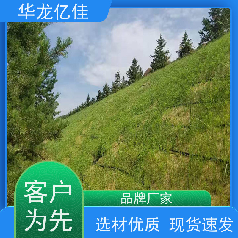 全新 椰丝草籽毯 生态修复矿山绿化护坡 应用广泛
