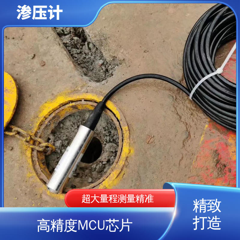 土体水位的变化 水库水利大坝 硅压阻式渗压计 长期在线监测