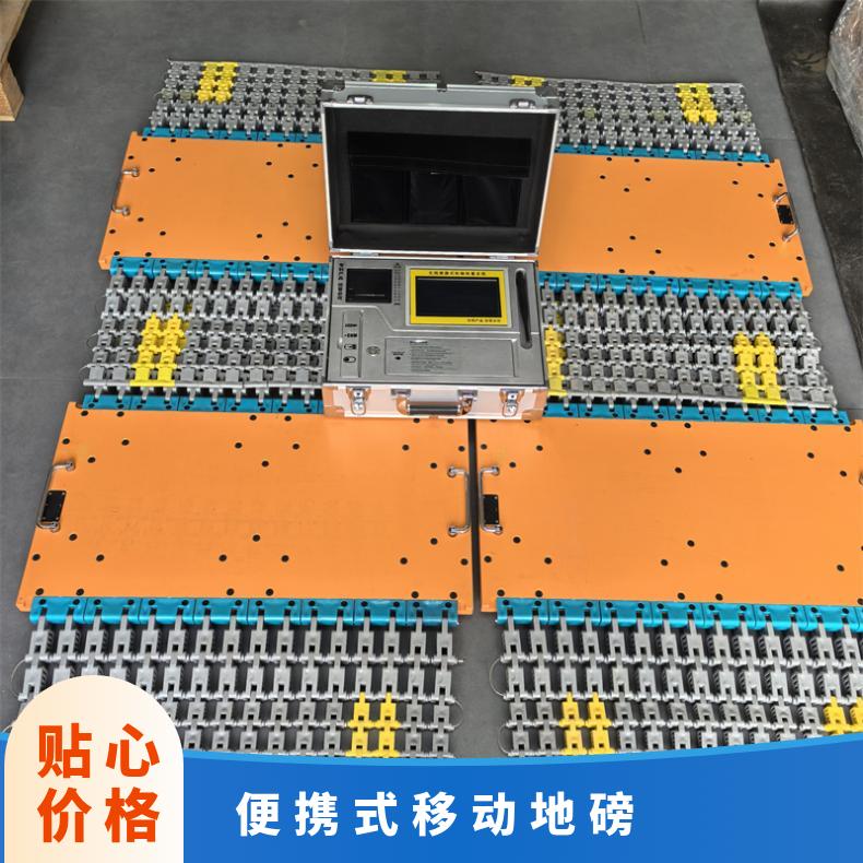 汽车轮荷仪 100T便携式轮重仪生产厂家 80T测重仪 移动地磅秤