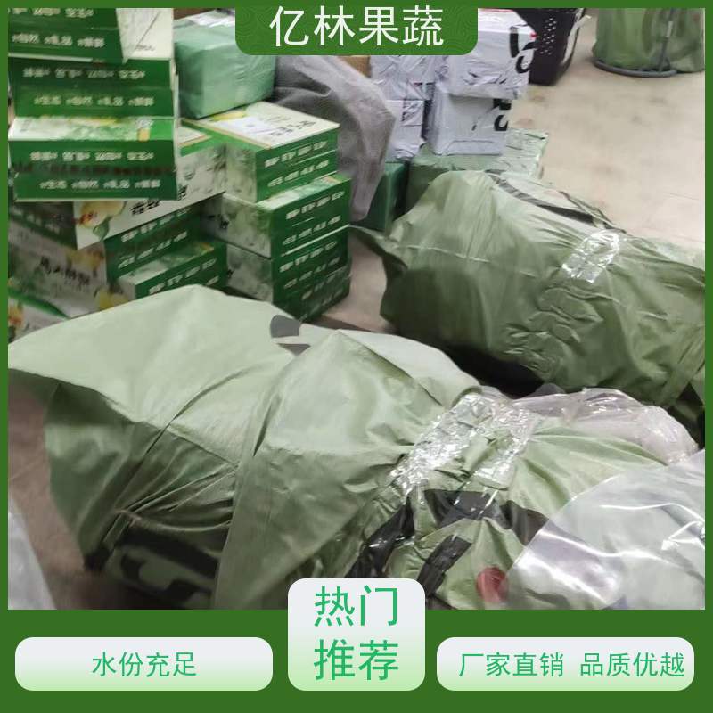 基地供应 黄桃苗 三公分现挖现发 品种齐全 易栽培桃树苗