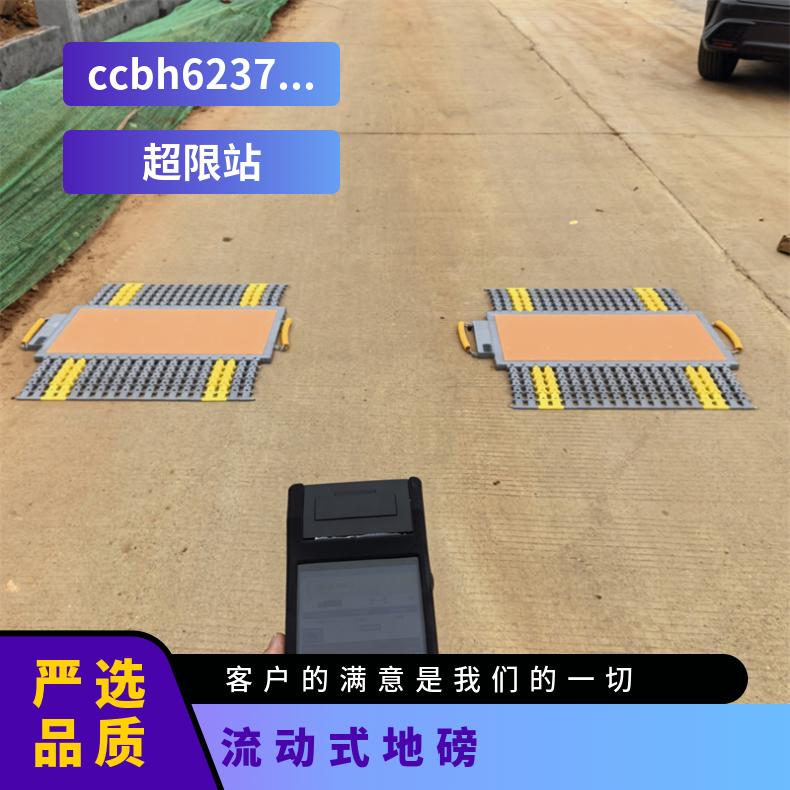 汽车轮重检测仪 40吨便携式轮重秤 物流配载重量监静态称重仪