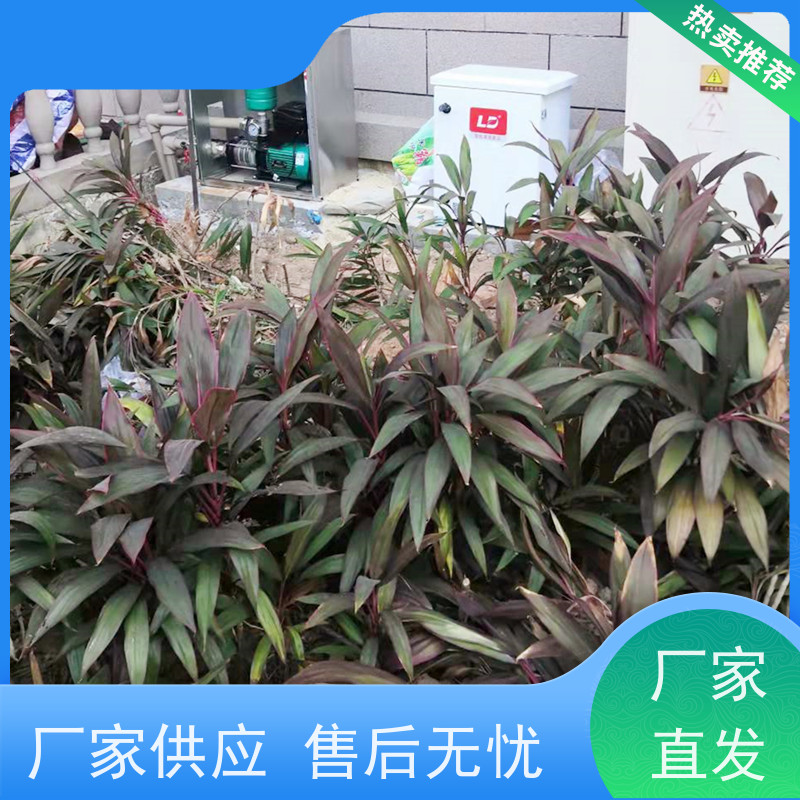淋达LINDAICS 智能喷灌设备 有效提高灌溉效率 货源充足