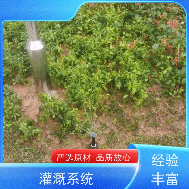 淋达LINDAICS 喷灌滴灌系统 农田园林灌溉滤水用 操作简便