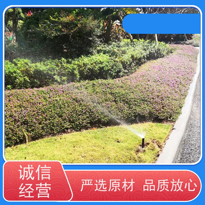 淋达LINDAICS 自动控制灌溉系统 水肥一体均匀施肥 货源充足