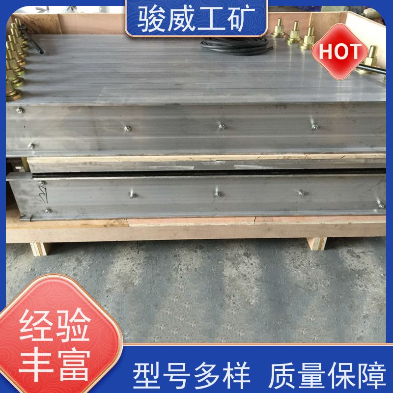 厂用DGLJL橡胶带硫化机电动加压泵防爆型可选