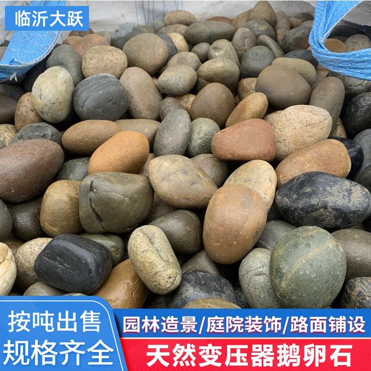 变压器鹅卵石批发厂家 风力发电垫层河卵石 临沂大跃