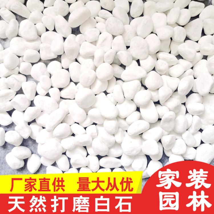 枯山水景观天然白色砾石洗米石1-3-5cm庭院造景水洗石 雨花石