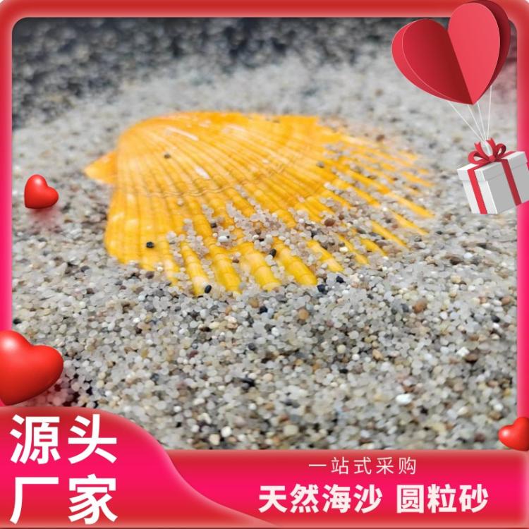 圆粒砂造景水处理用海沙水厂用铸造砂滤料沙 疗砂可用