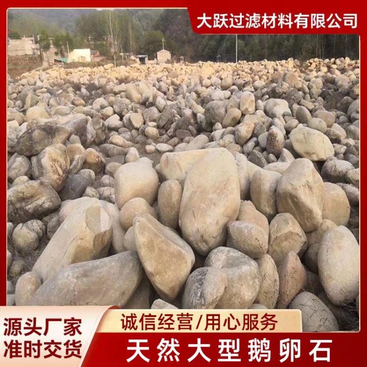 临沂大跃 天然大型鹅卵石 园林景观工程河卵石 厂家批发