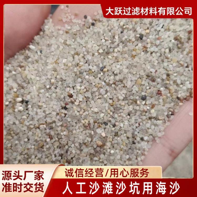 人工沙滩沙坑用海沙 水处理用海沙滤料 精制烘干海砂 临沂大跃