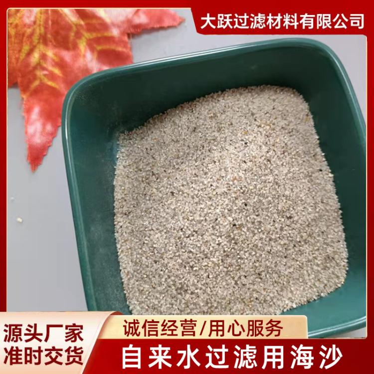 自来水过滤用海沙 电厂水处理滤料质感圆粒砂80目 临沂大跃
