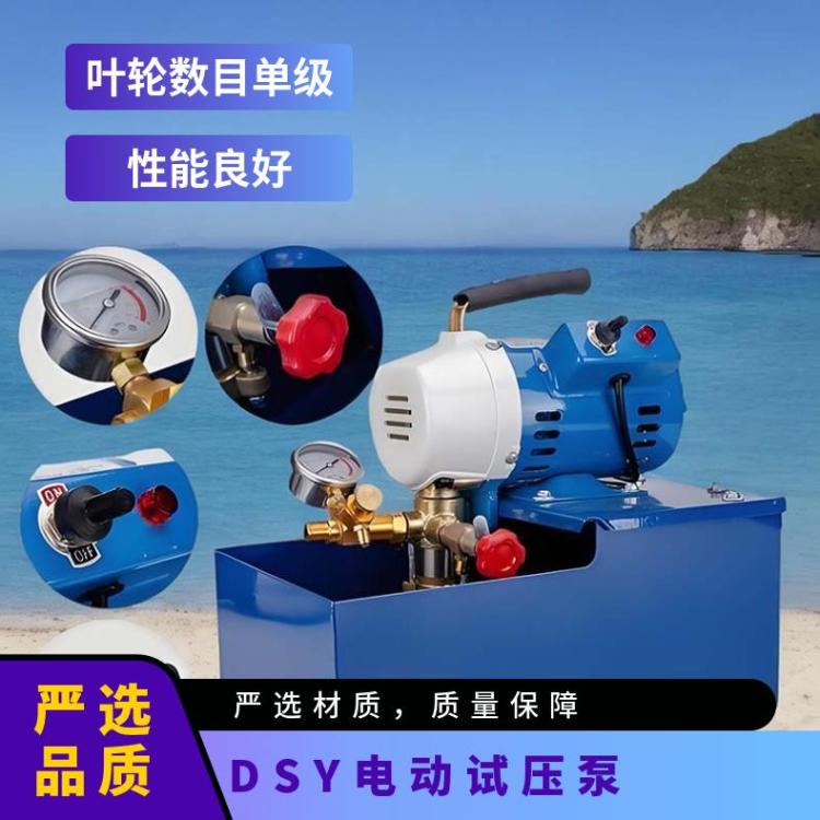 DSY-50/60/100电动试压泵 大流量水管道试 压机打压机