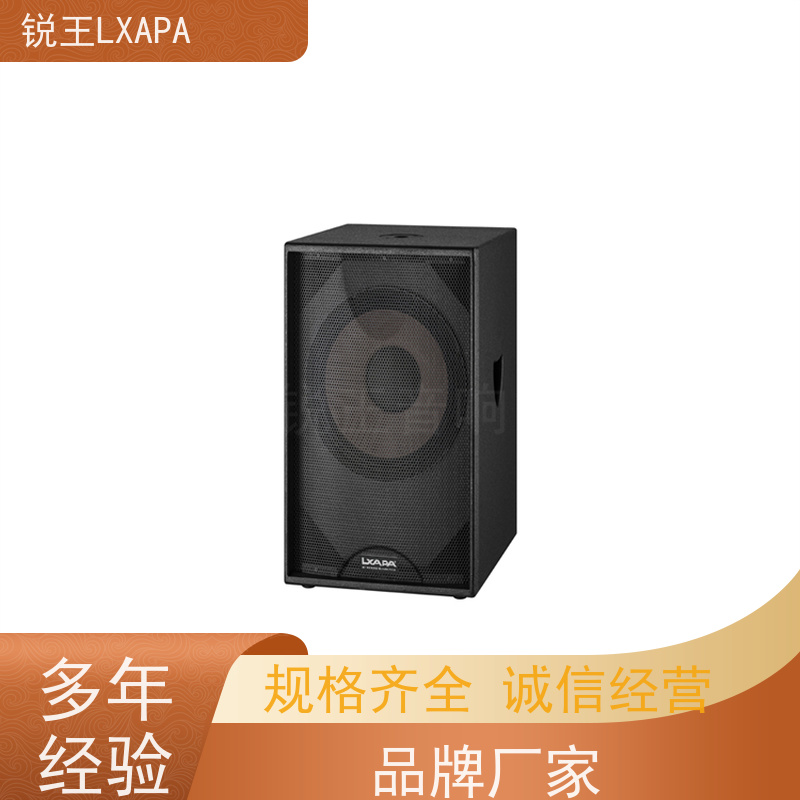 锐王LXAPA 演出音响 八寸会议音箱 体育场馆用 全频线性音柱