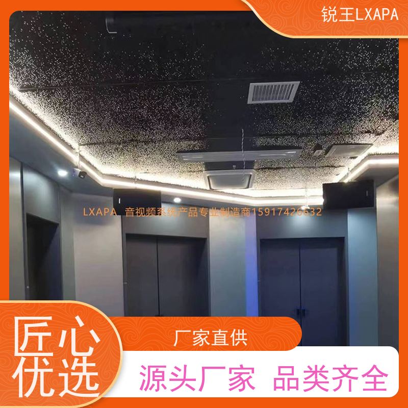 锐王LXAPA ktv音响设备 八寸会议音箱 适用于剧院 全频线性音柱