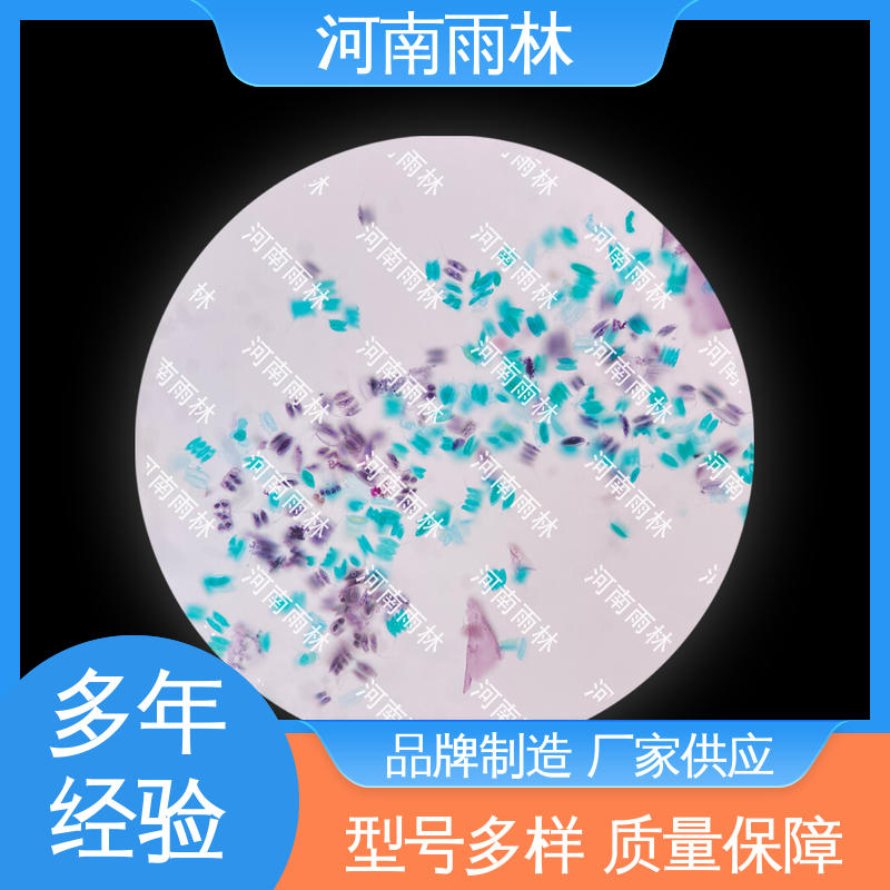 雨林教育工程 可提供材料 支持定制 品质优良 病害标本