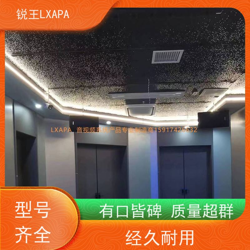 锐王LXAPA 音柱 上下导向分流 小型会议音箱 音响功率放大器