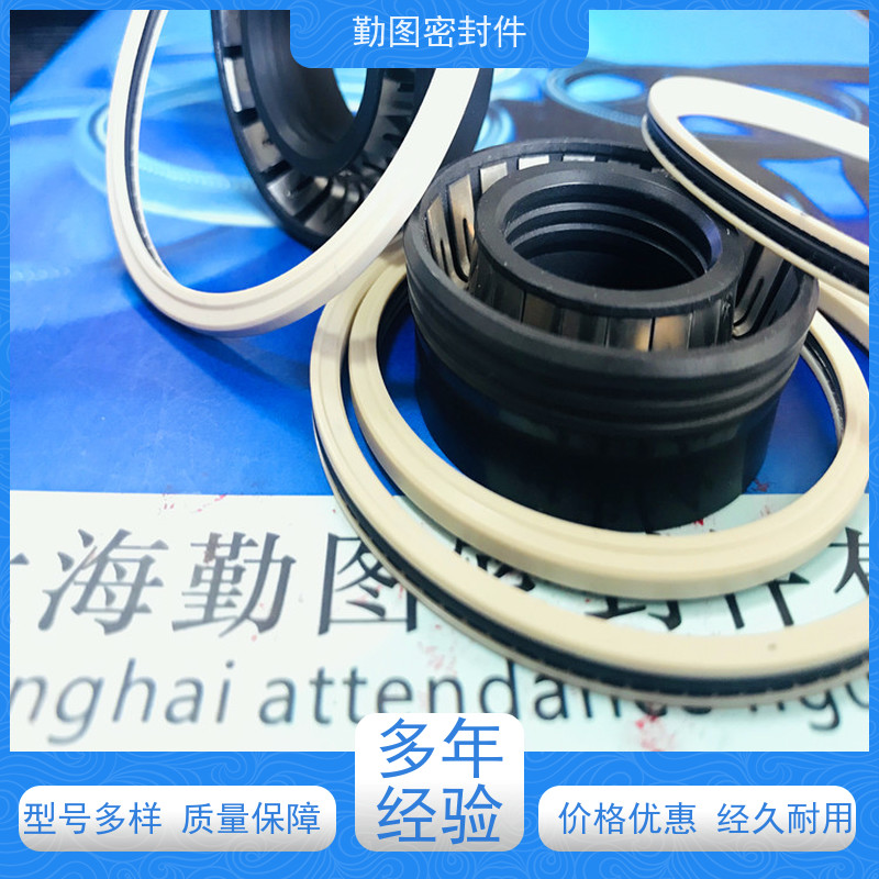勤图 PEEK泛塞封 耐磨,耐压,耐腐蚀,耐高温 满足各种应用要求 
